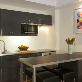 Juan les Pins - appartement vacances juans les pins a louer cuisine