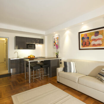Juan les Pins - appartement vacances juans les pins a louer living 1