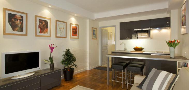 Juan les Pins - appartement vacances juans les pins a louer living 2