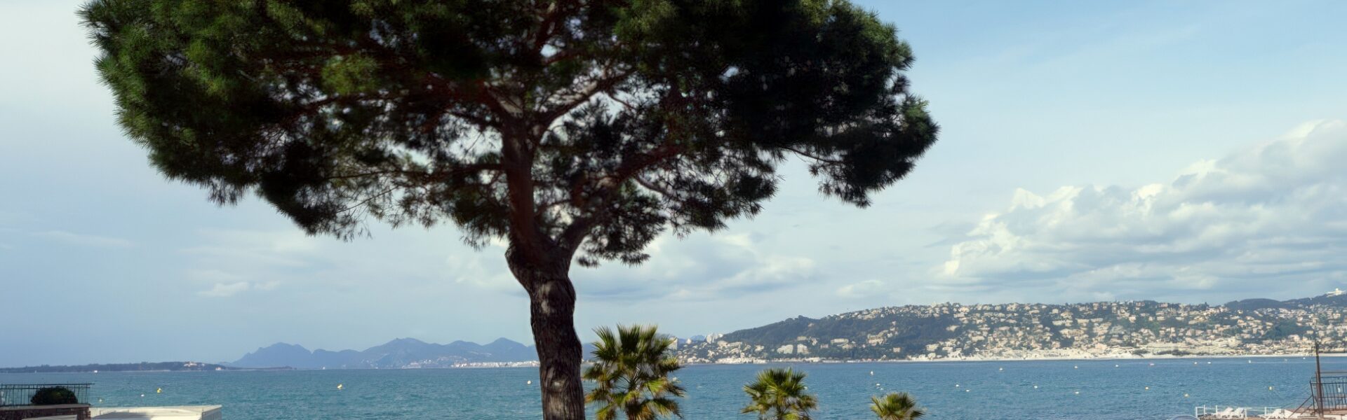 Les appartements - juan les pins location logement vacances